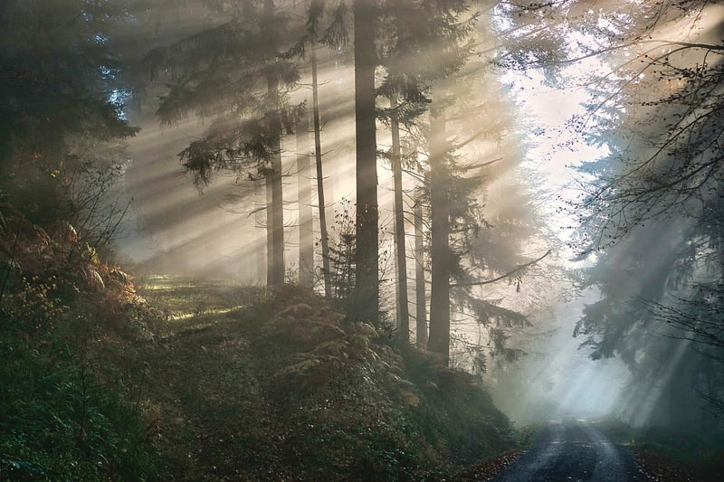 Mystical Vibes