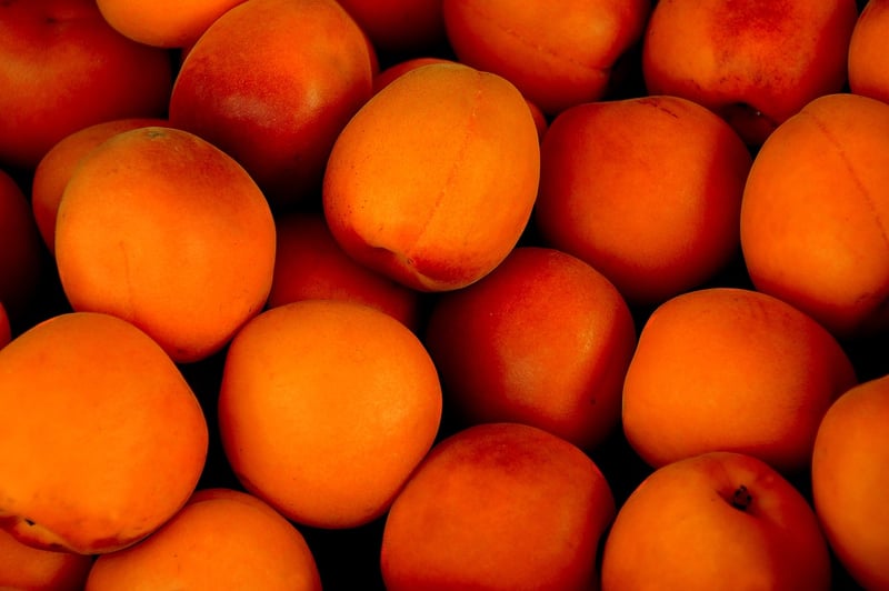 Seasonal Bounty