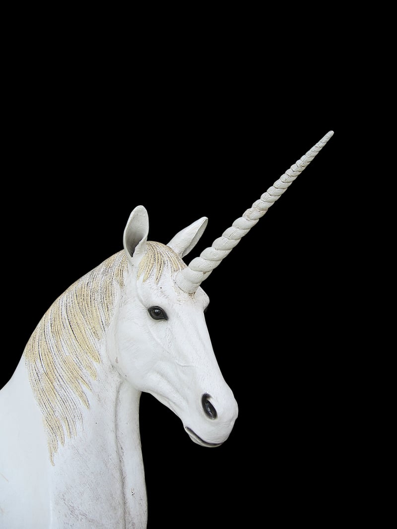 Unicorn Bloom
